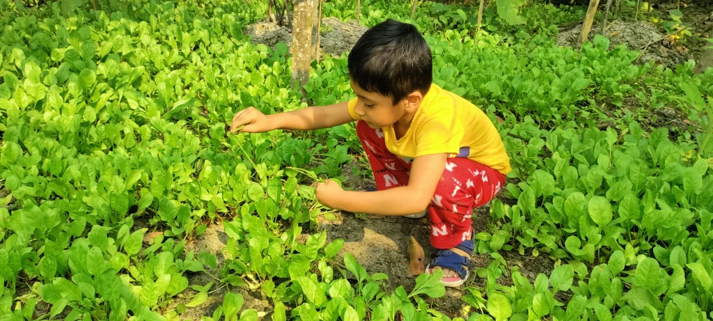 Gardening is one of the best form of outdoor activities